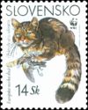 European Wild Cat (Felis sylvestris sylvestris)