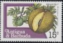 Breadfruit (Artocarpus communis)