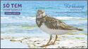 Ruddy Turnstone (Arenaria interpres)