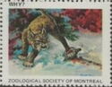 Why? Zoological Society of Montreal. Trapped Lynx