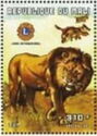 Panthera leo