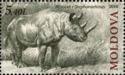 Merck's Rhinoceros (Stephanorhinus kirchbergensis)
