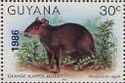 Orange-rumped Agouti (Dasyprocta leporina) overprint "1986"