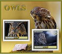 Fauna Owls