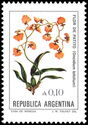 Flor de Patito (Oncidium bifolium)