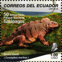 Galapagos Pink Land Iguana (Conolophus marthae)