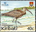 Whimbrel (Numenius phaeopus)