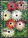 Mesembyranthemum sparkles (without white border)
