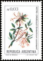 Notro Ciruelillo (Embothrium coccineum)