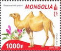 Flora and Fauna of the Red Book of Mongolia