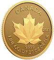 1 Dollar (Maple leaf 1/20 Oz.)