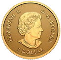 1 Dollar (Maple leaf 1/20 Oz.)