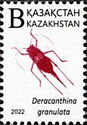 Deracanthina granulata