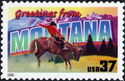 Greetings from Montana, Horse (Equus ferus caballus)