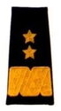Brigadier General