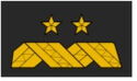 Brigadier General