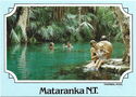 Mataranka. Thermal Pool