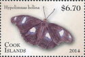 Great Eggfly (Hypolimnas bolina)