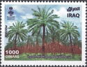 Date Palms