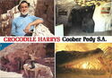 Crocodile Harrys, Coober Pedy S.A.