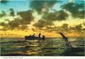 Deep Sea Angling - Fabulous Bahama Islands' fishing