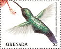 Green-throated Carib (Eulampis holosericeus)