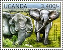African Elephant (Loxodonta africana)