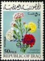 Carnations (Dianthus caryophyllus)