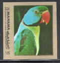 Emerald-Collared Parakeet (Psittacula calthrapae)