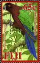 Red-breasted Musk Parrot (Prosopeia tabuensis koroensis)