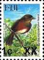 Island Thrush (Turdus poliocephalus layardi)
