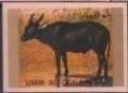 Lowland Anoa (Bubalus depressicornis)