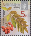 European Rowan (Sorbus aucuparia)