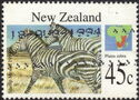 Plains Zebra (Equus quagga)