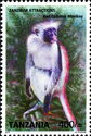 Zanzibar Red Colobus (Piliocolobus kirkii)