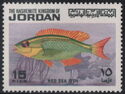 Arabian Monocle Bream (Scolopsis ghanam)