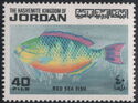 Blue-barred Parrotfish (Scarus ghobban)