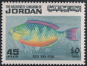 Blue-barred Parrotfish (Scarus ghobban)