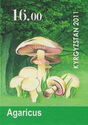 Mushrooms - Agaricus