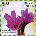 Saffron, Kashmir
