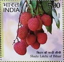 Shahi Litchi, Bihar