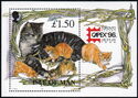 Cat with kittens (souvenir sheet, with "CAPEX '96 Emblem)