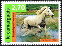 Camargue Horse (Equus ferus caballus)