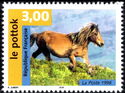 Pottok Horse (Equus ferus caballus)
