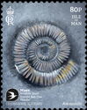 Ammonite (Ammonoidea sp)