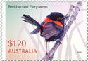 Red-backed Fairy-Wren (Malurus melanocephalus)