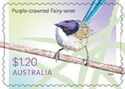 Purple-crowned Fairy-Wren (Malurus coronatus)