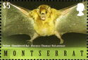 Yellow-shouldered Bat (Sturnira thomasi vulcanensis)