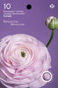 Persian Buttercup (Ranunculus asiaticus) - Booklet