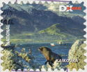 Kaikoura. Sea Lion and View of Bay